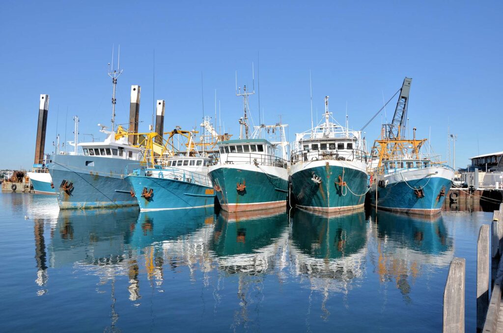 Commercial Hull Insurance